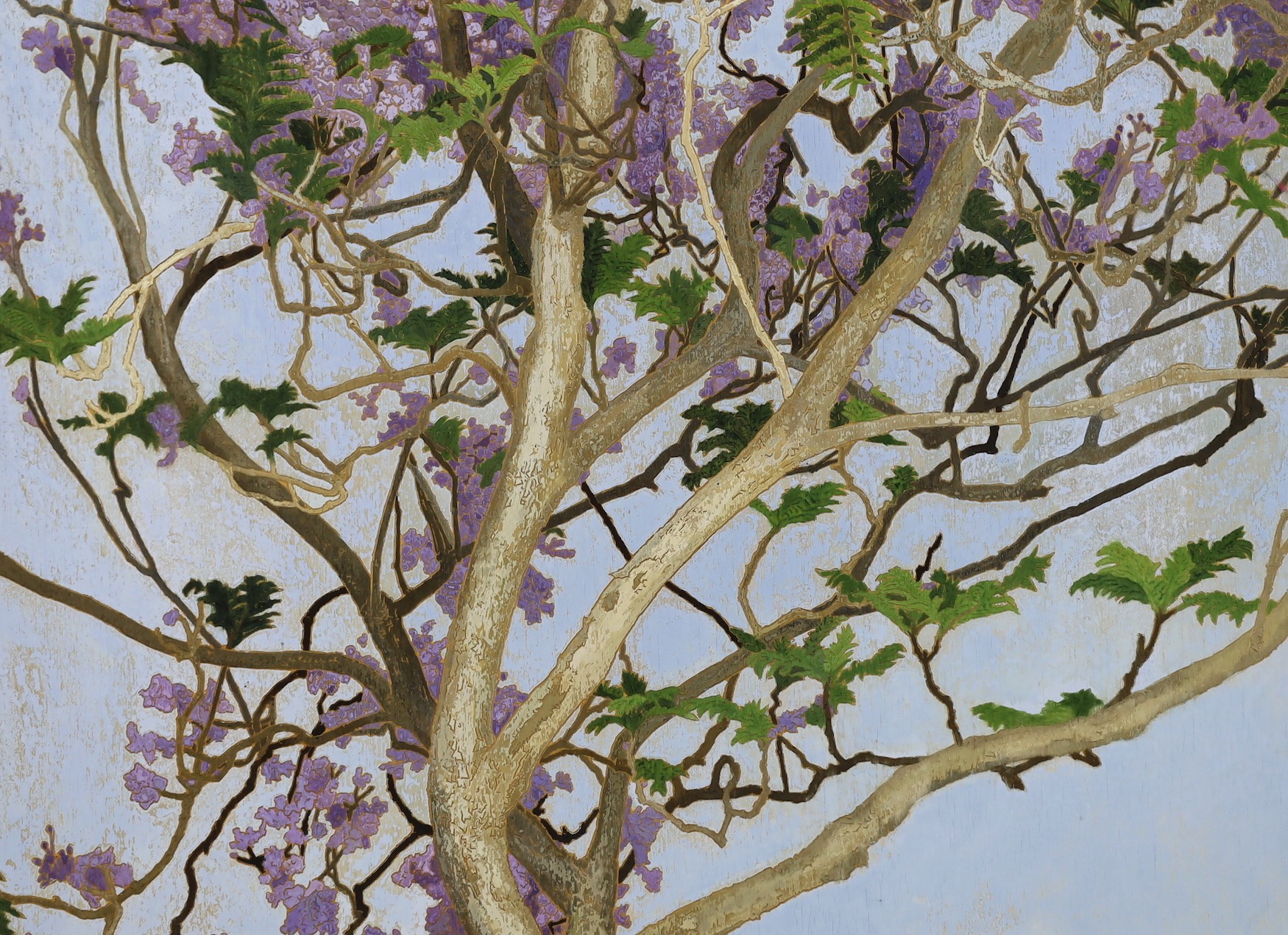 Cressida Campbell (Australian, 1960-), Jacaranda in full blossom, watercolour on incised marine ply